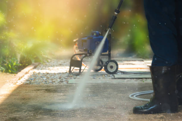 Animal Enclosure Cleaning in Saxonburg, PA